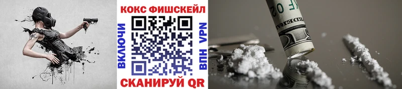 ОМГ ОМГ зеркало  купить закладку  Юрьев-Польский  COCAIN Боливия 