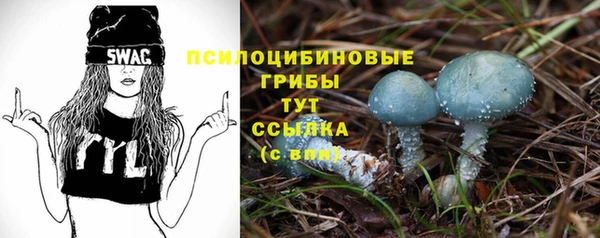 МДПВ Алзамай