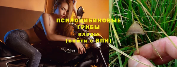 МДПВ Алзамай