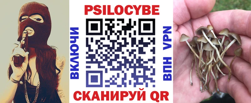 Галлюциногенные грибы Psilocybine cubensis  Юрьев-Польский 